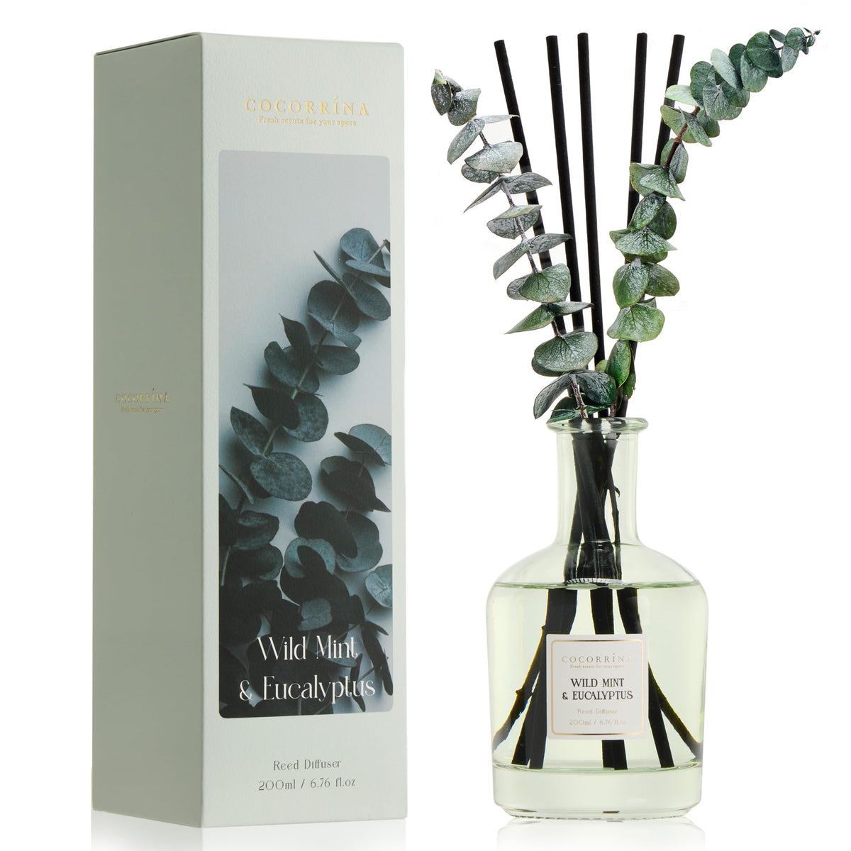 COCORRINA Wild Mint & Eucalyptus diffuser bottle releasing a fresh, natural scent for any room