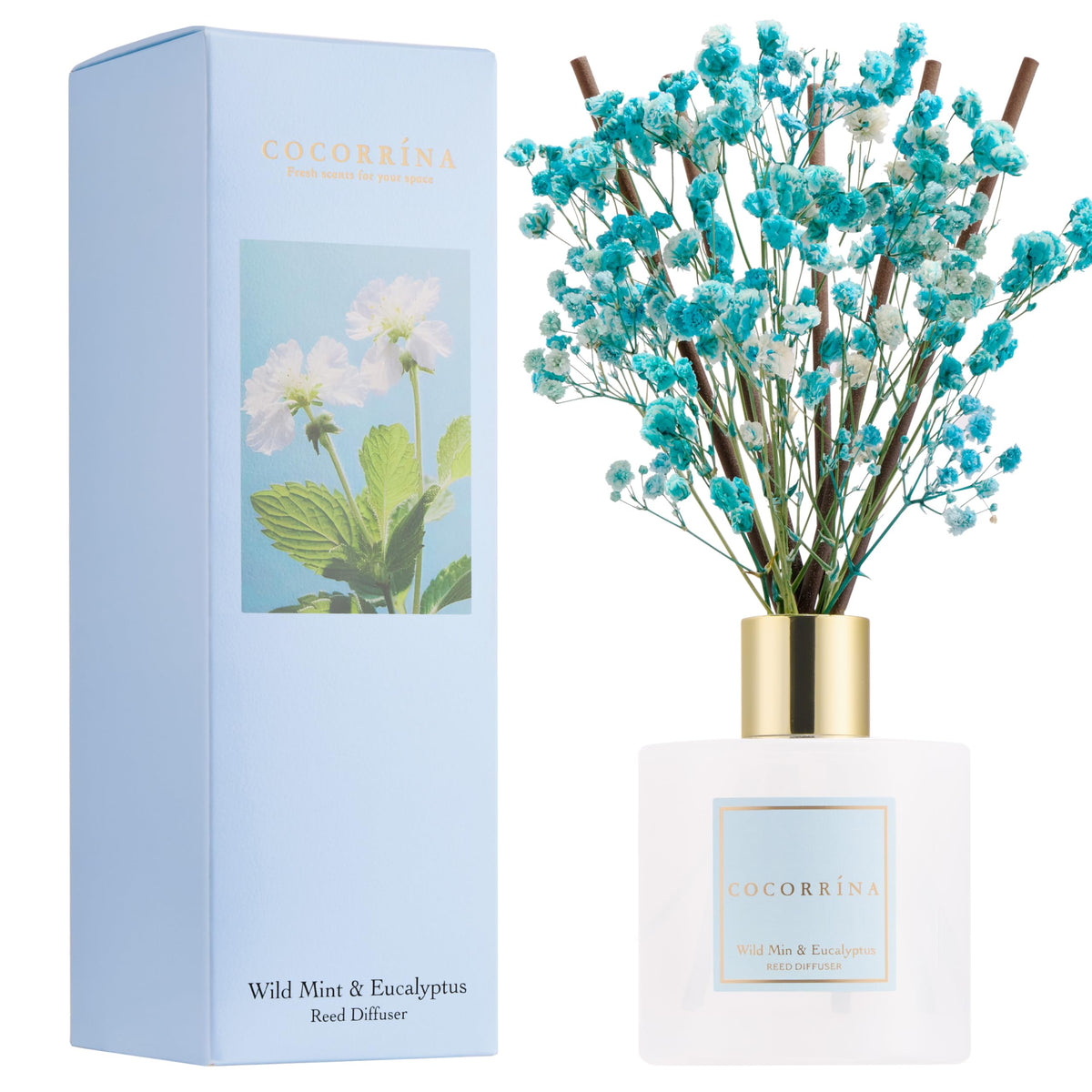 COCORRÍNA Wild Mint Eucalyptus reed diffuser bottle releasing fresh citrus and mint for a bright space.