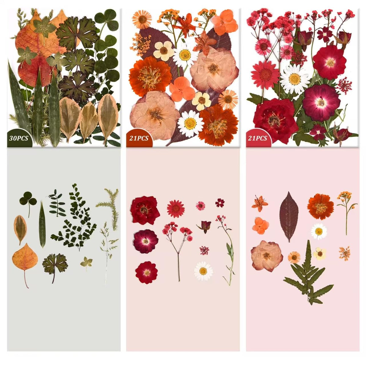 Cokosing 9-color dried flower set versatile for nail art and DIY projects.