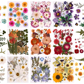 Cokosing 9-pack pressed flowers collection in vacuum-sealed pouch for resin art and crafts.
