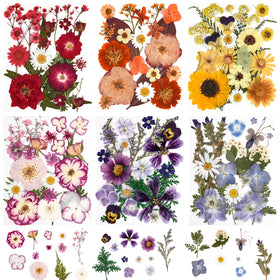 Cokosing pressed flowers collection with vibrant colors for scrapbooking and jewelry making.