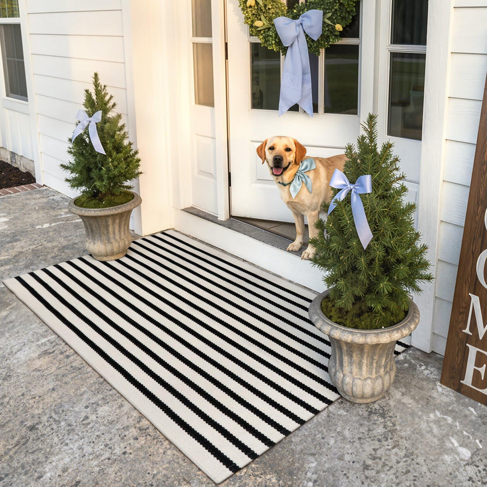 Collive Black and White Rug 3x5 front door mat with bold stripes for a welcoming entry.