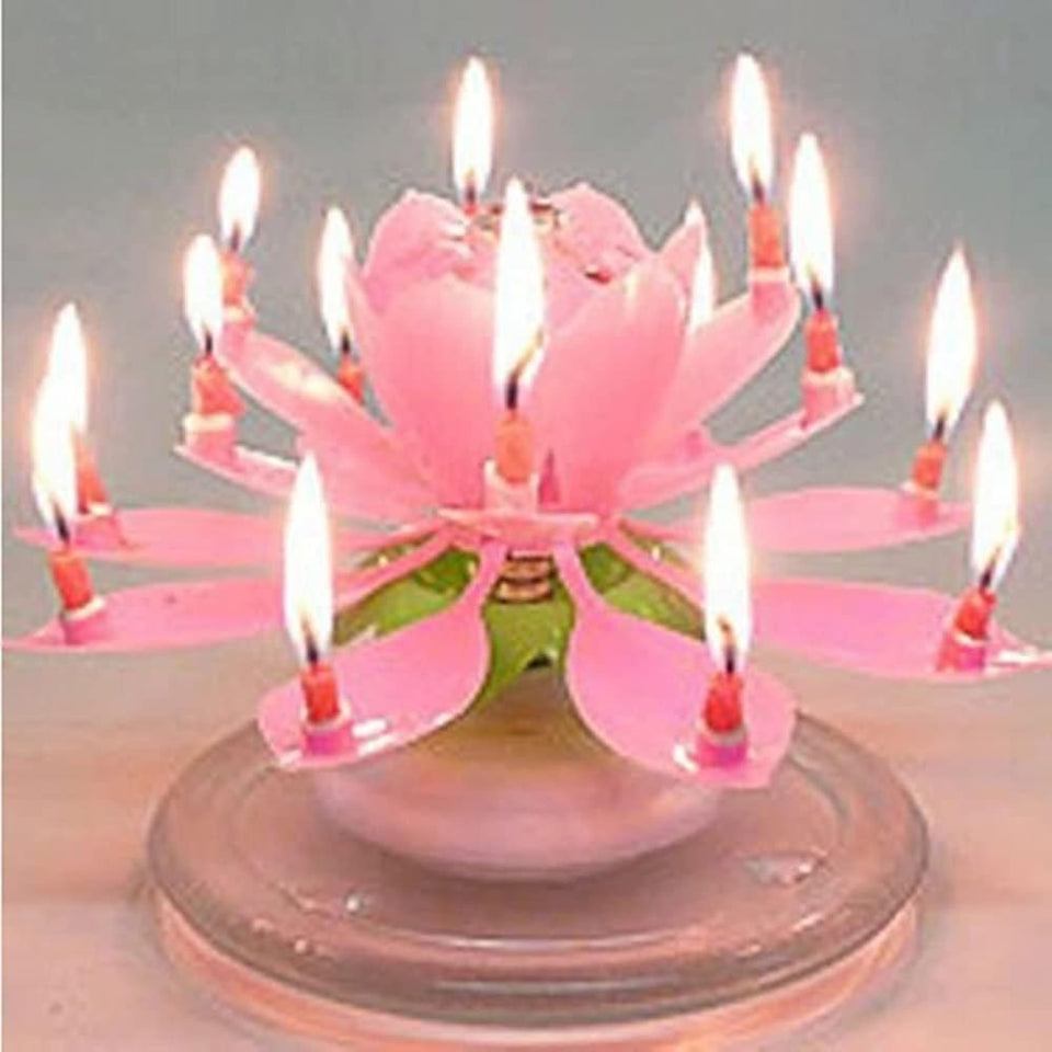 Cololily lotus-flower musical candle creates a magical birthday moment on the cake.