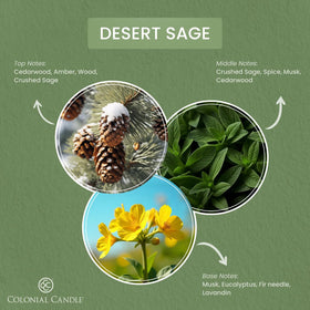 Colonial Candle Desert Sage jar label close-up highlights rich fragrance notes.