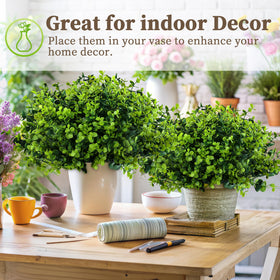 ColoPlay fade-resistant outdoor boxwood stays vibrant with no daily care
