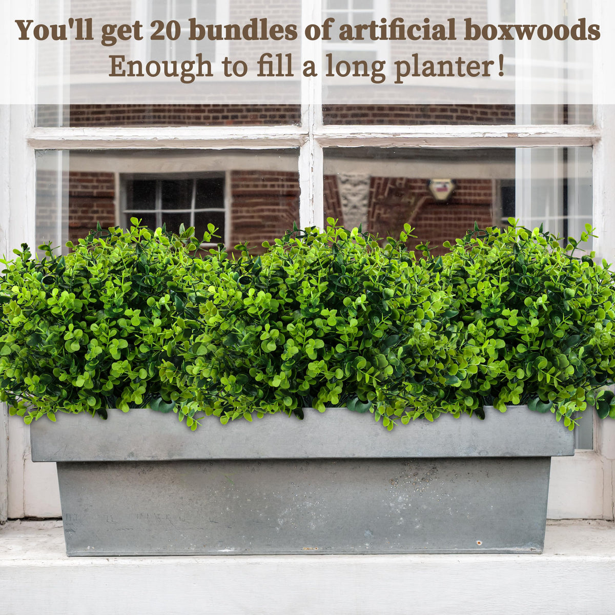 ColoPlay lifelike boxwood texture with natural leaf details for realistic faux greenery