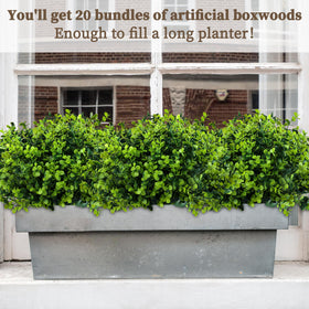 ColoPlay lifelike boxwood texture with natural leaf details for realistic faux greenery
