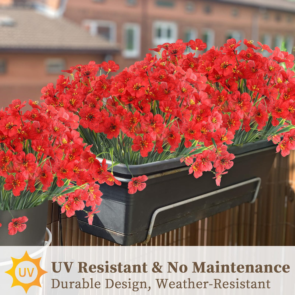 ColoPlay blooms fit porches and windowsills for all seasons