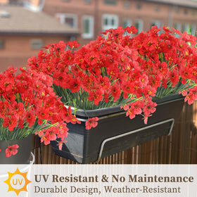 ColoPlay blooms fit porches and windowsills for all seasons