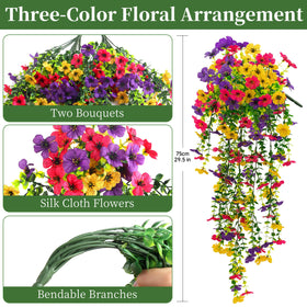 ColoPlay Vibrant Trio daisy closeup showing textured petals