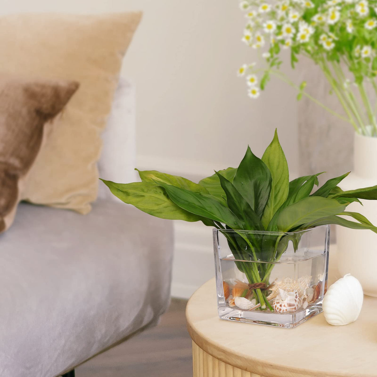 Office decor with clear glass Comrzor vases
