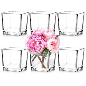 Comrzor six-pack square vases with compact dimensions for elegant centerpieces.