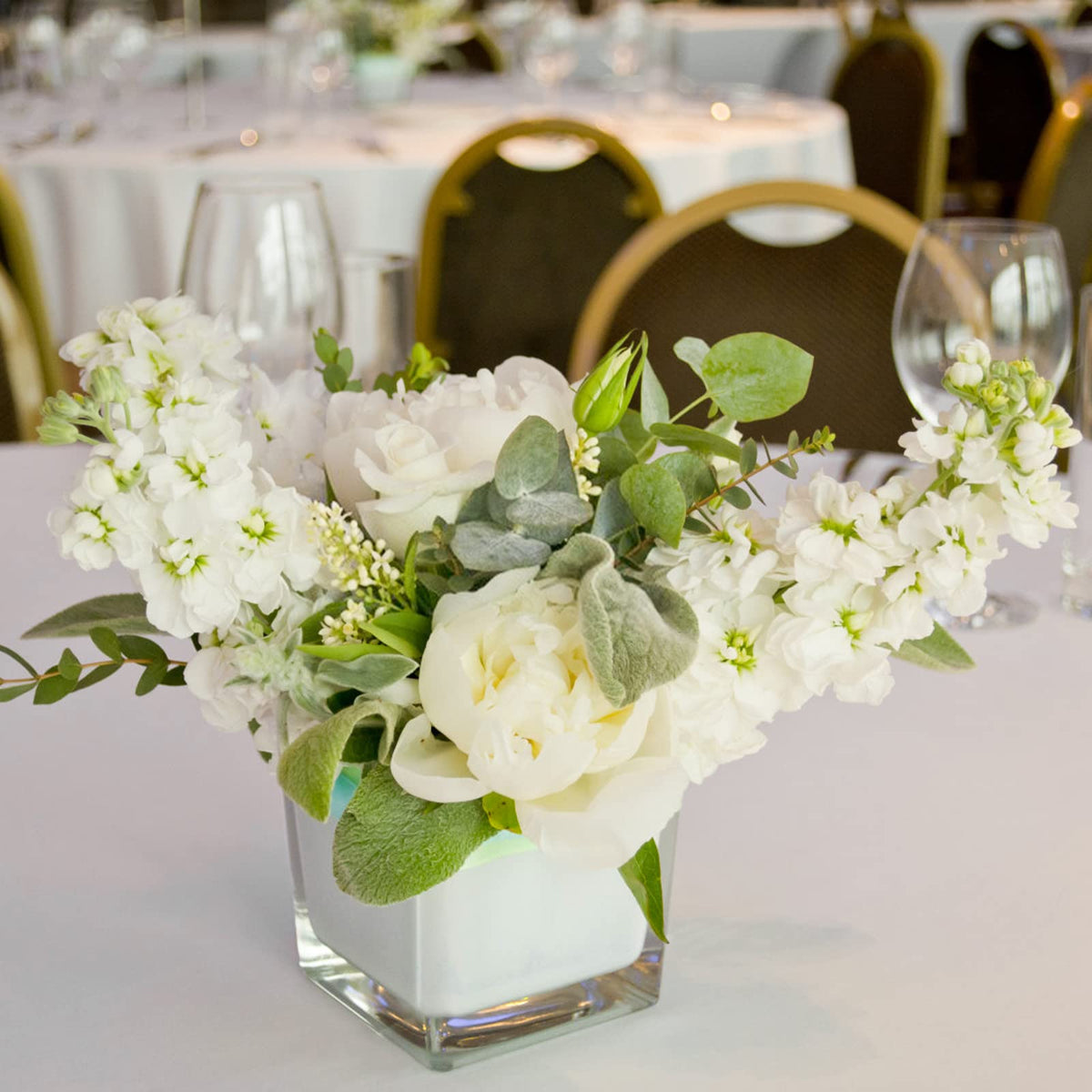 Versatile Comrzor square vases for flowers, candles, or storage