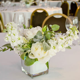 Versatile Comrzor square vases for flowers, candles, or storage