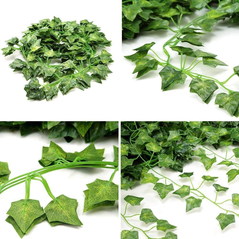 Comtelek ivy vines filling windowsills or planters with natural color.