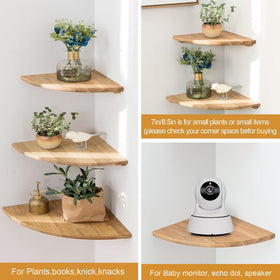 Conamily floating corner shelf used for plant display in living room