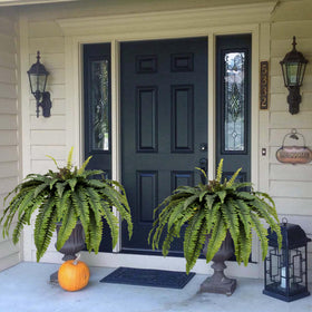 CongfuHepMui easy-clean silk fern for low-maintenance home decor.