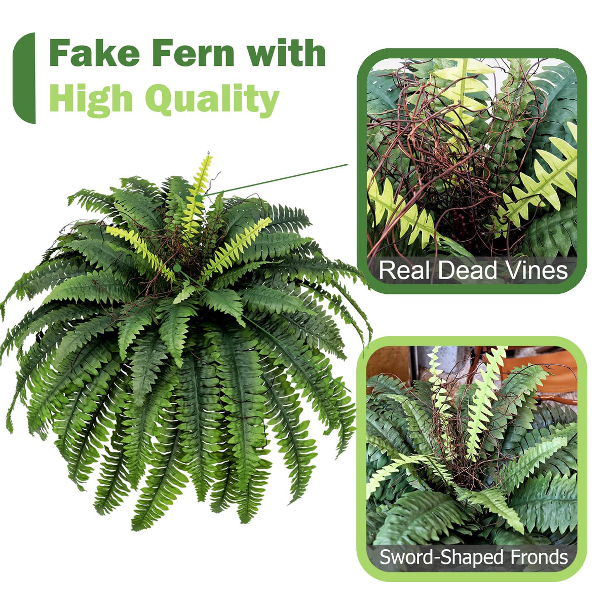 CongfuHepMui garden-ready fern display ideal for patios and decks.