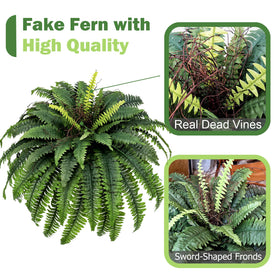 CongfuHepMui garden-ready fern display ideal for patios and decks.