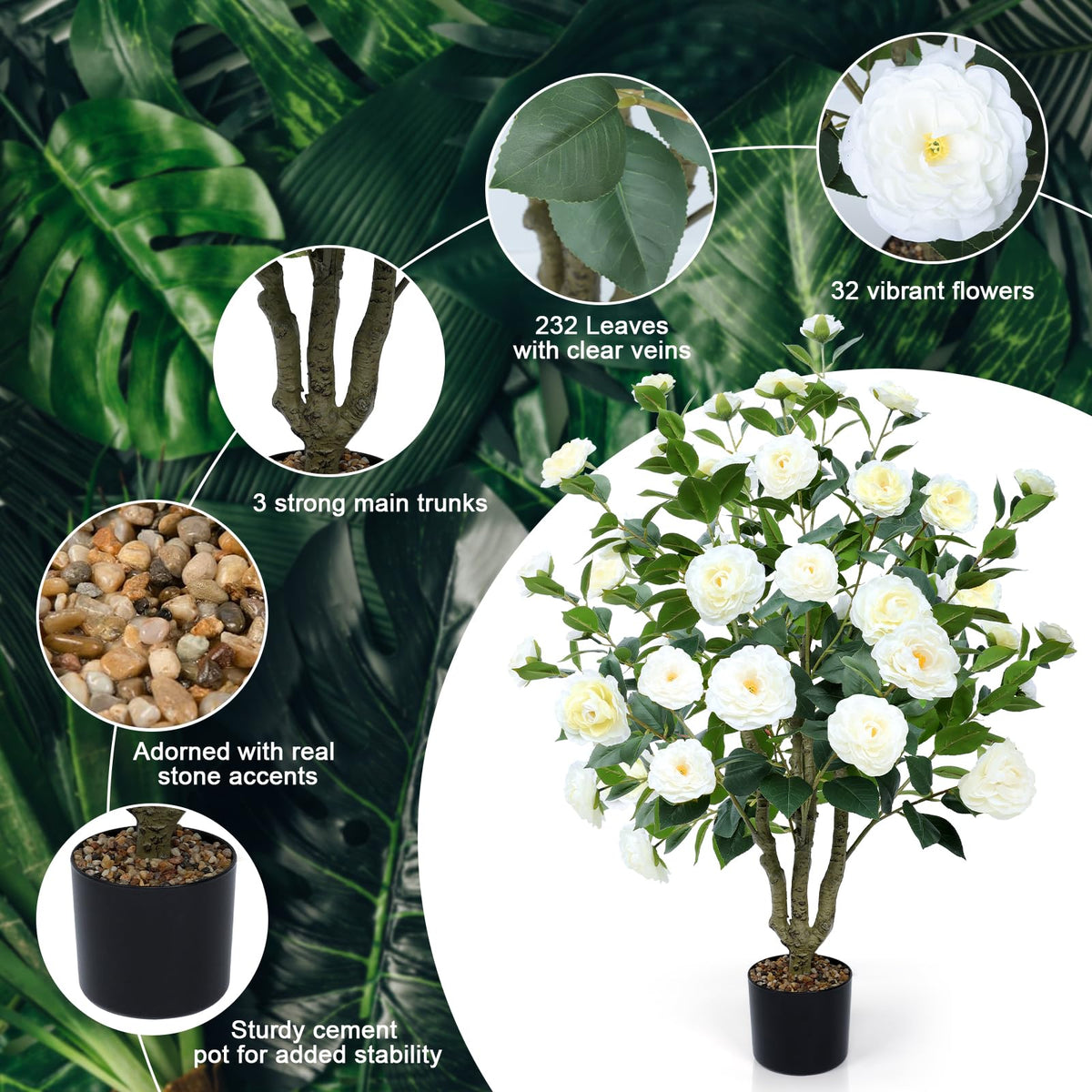 Conviviala camellia tree with heavy cement pot provides stable placement.