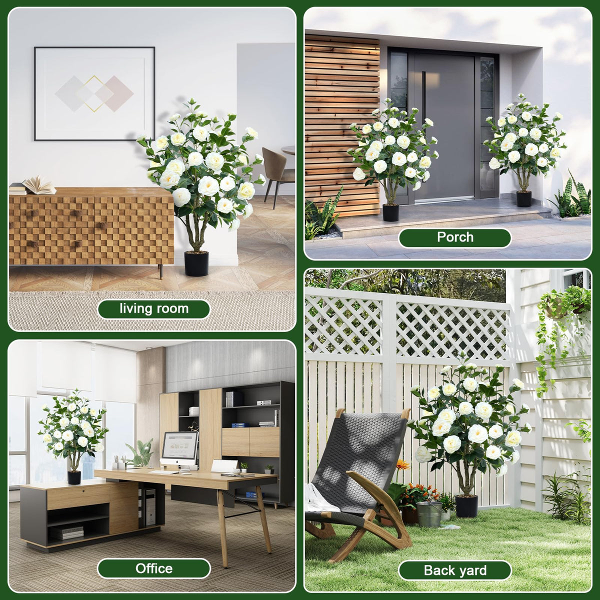 Conviviala camellia tree white blooms create a fresh focal point.