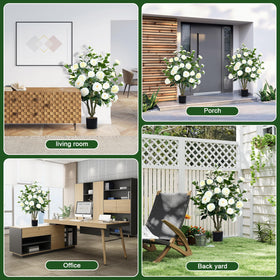 Conviviala camellia tree white blooms create a fresh focal point.