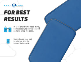 Two-sport scenario: portable cooling pad for gym, car, or travel.