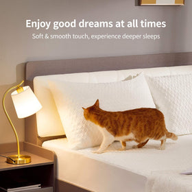 CoolShields breathable-encasement pillow protector preserves pillow life with breathable design.