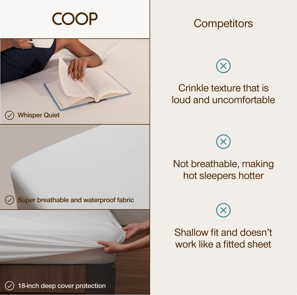 Coop Home Goods Ultra-Tech protector helps prevent stains and odors nightly