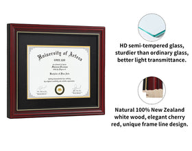 CORE ART diploma frame 15x18 without mat for larger documents