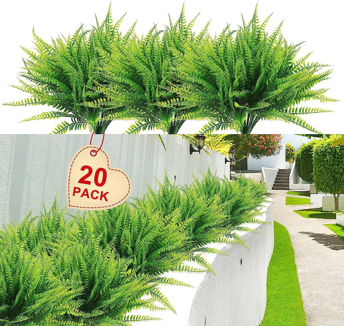 Coreland Boston fern 20-pack packaging ready for quick indoor or outdoor decor setups.