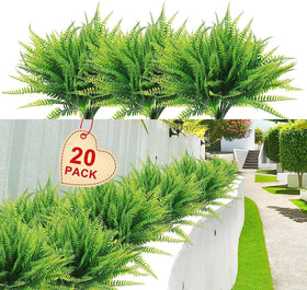 Coreland Boston fern 20-pack packaging ready for quick indoor or outdoor decor setups.