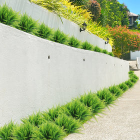 Coreland Boston fern balcony-setup for bright patio or balcony displays.