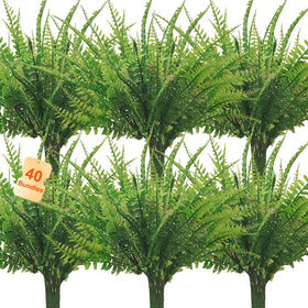 Coreland Boston fern collection pack displays lush, maintenance-free greenery for versatile spaces.
