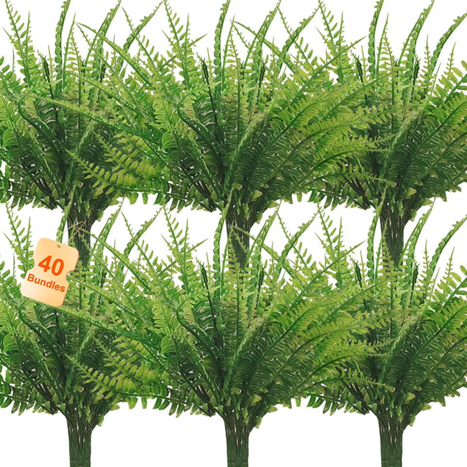 Coreland Boston fern collection pack displays lush, maintenance-free greenery for versatile spaces.
