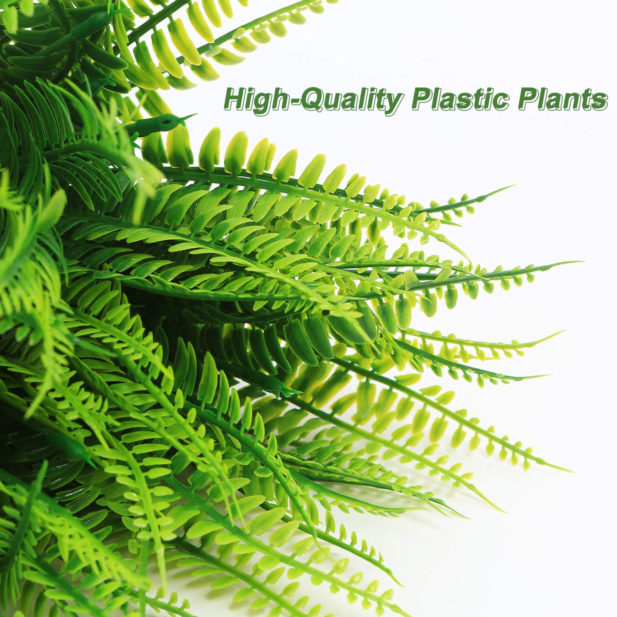 Coreland Boston fern indoor-decor adds life to shelves and cabinets.