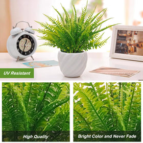 Coreland faux fern plants indoor decoration captures vibrant color with easy upkeep.