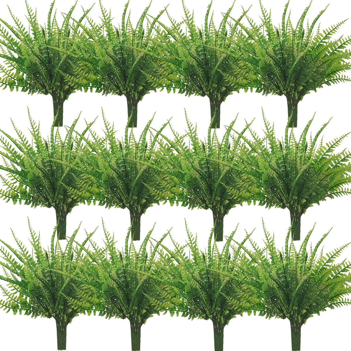 Coreland UV-resistant ferns endure outdoor exposure for garden displays.