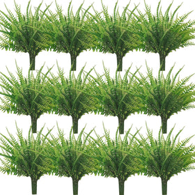 Coreland UV-resistant ferns endure outdoor exposure for garden displays.
