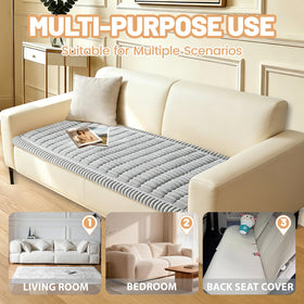 CoSofSLIP-protects-furniture guards against scratches and stains from energetic pets.