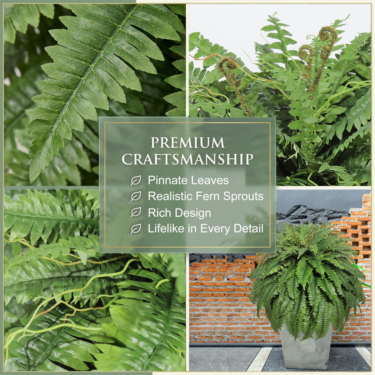 Cotlux easy-care fern offers maintenance-free greenery for busy homes.