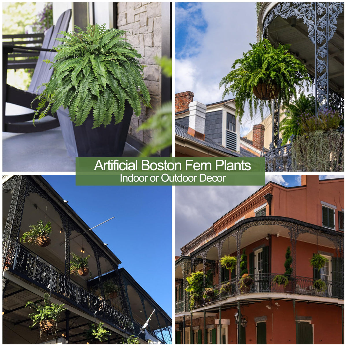 Cotlux planter-ready fern for versatile indoor and outdoor decor.