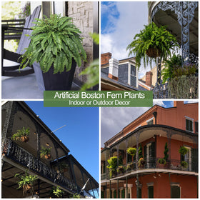 Cotlux planter-ready fern for versatile indoor and outdoor decor.