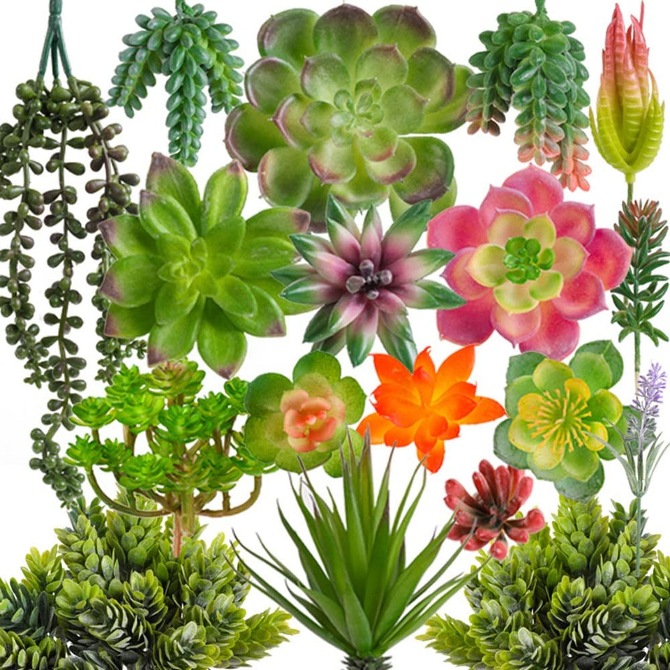 COTSEN 18-pack artificial succulents with assorted varieties for durable home decor.