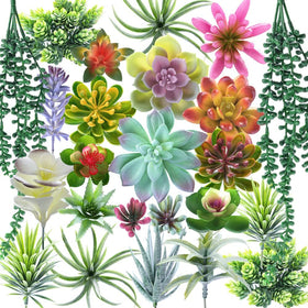 COTSEN artificial succulents collection shown for versatile, low-maintenance décor.