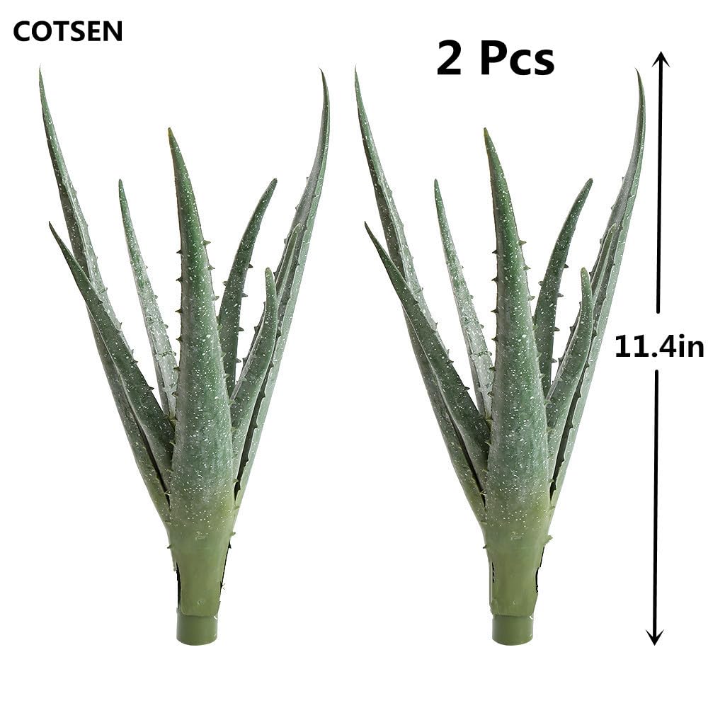 COTSEN two-pack artificial succulent gift-ready for teachers or colleagues