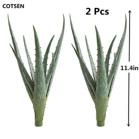 COTSEN two-pack artificial succulent gift-ready for teachers or colleagues