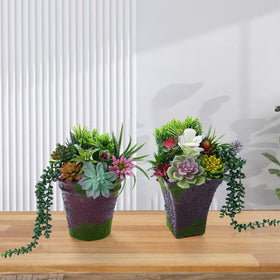COTSEN hanging strings of pearls artificial plant for ceiling or wall accents.
