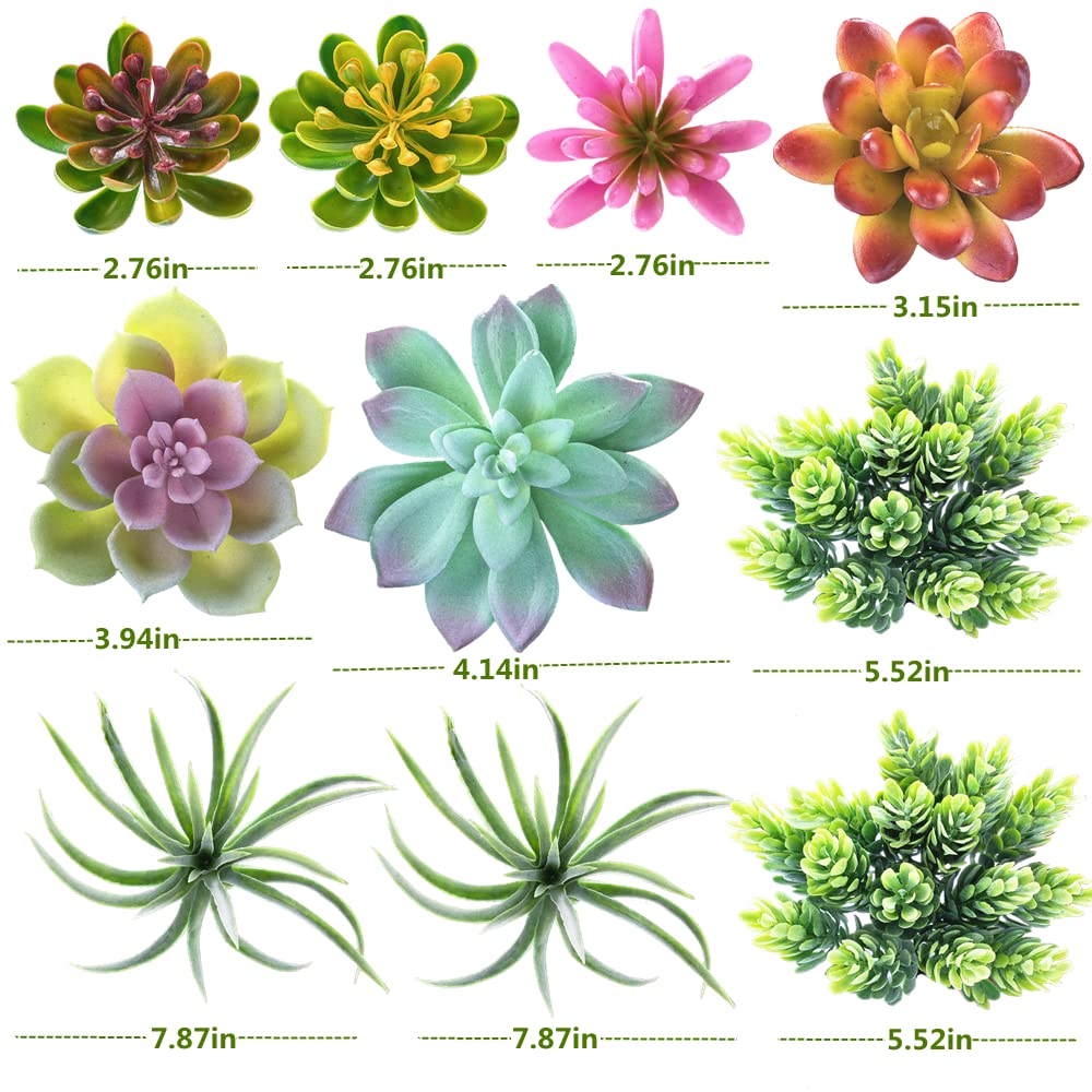 COTSEN indoor-outdoor succulents decor suitable for patios and balconies.