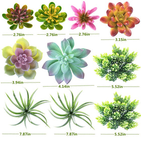 COTSEN indoor-outdoor succulents decor suitable for patios and balconies.
